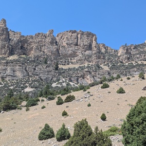 PXL_20260720_191246184.jpg